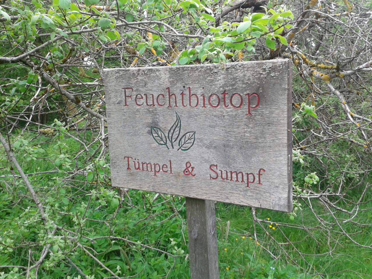 Camp Erna Gruppenzeltplatz Wasserkuppe